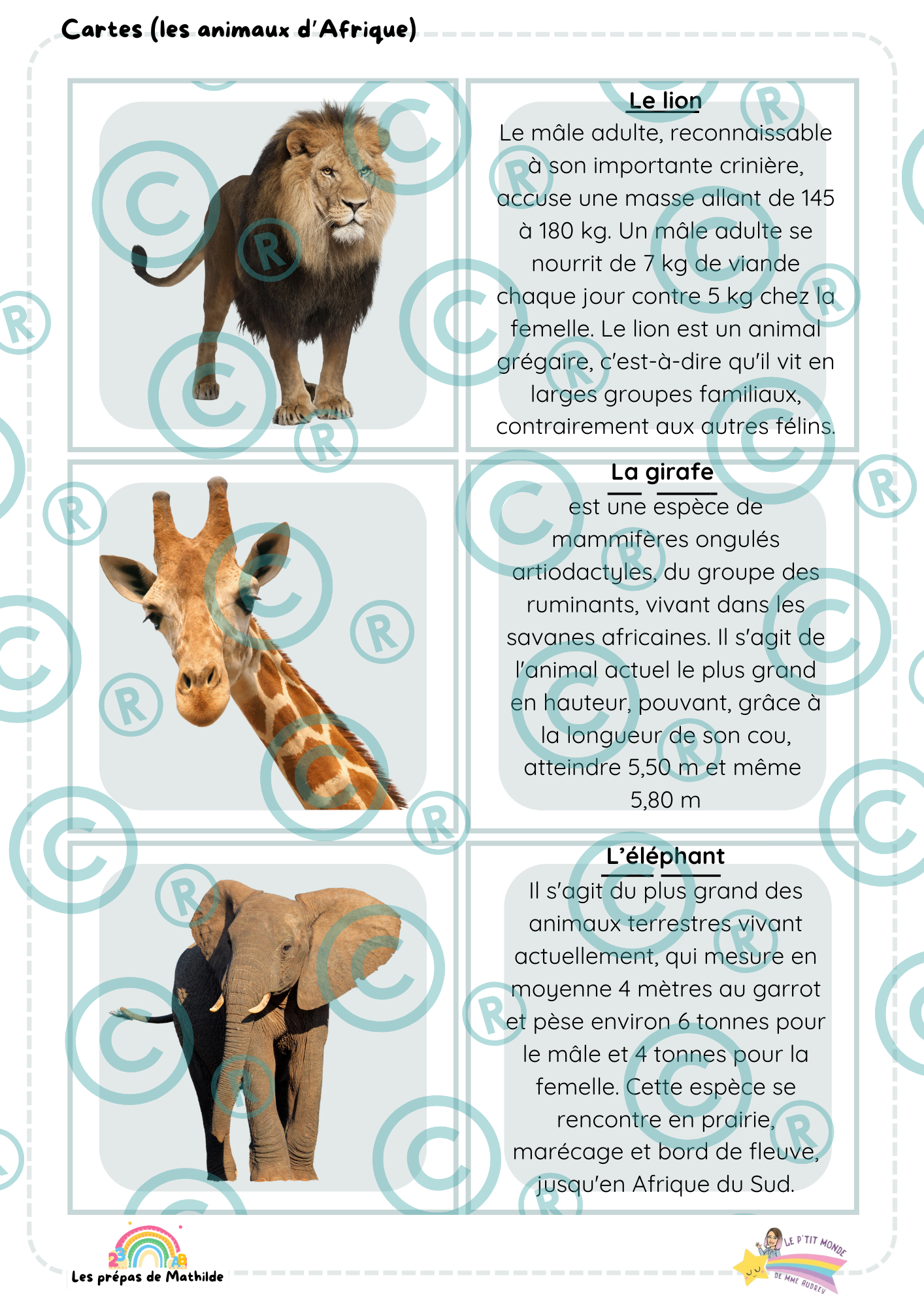 Cahier d'Éveil aux Langues Maternelle & Primaire (Plus de 400 Pages d'Activités!)