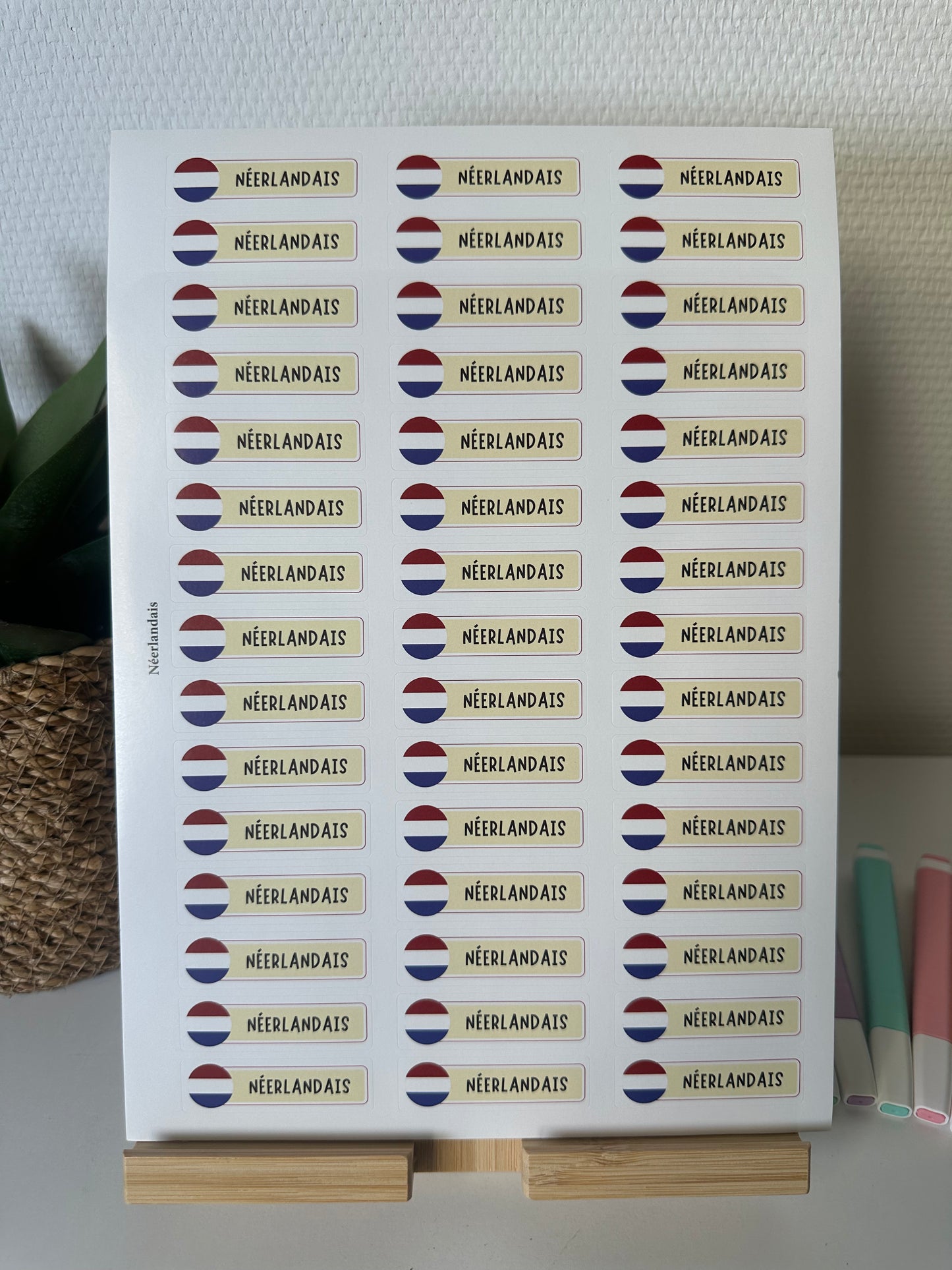 Planche de Stickers primaire – NÉERLANDAIS (45 stickers)