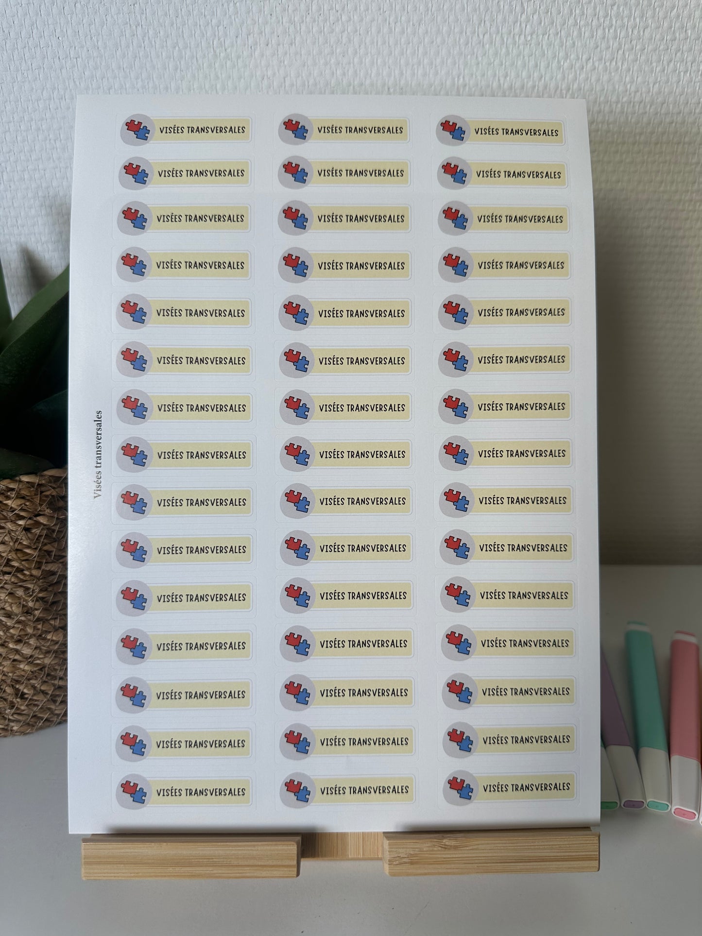 Planche de Stickers primaire – VISÉES TRANSVERSALES (45 stickers)
