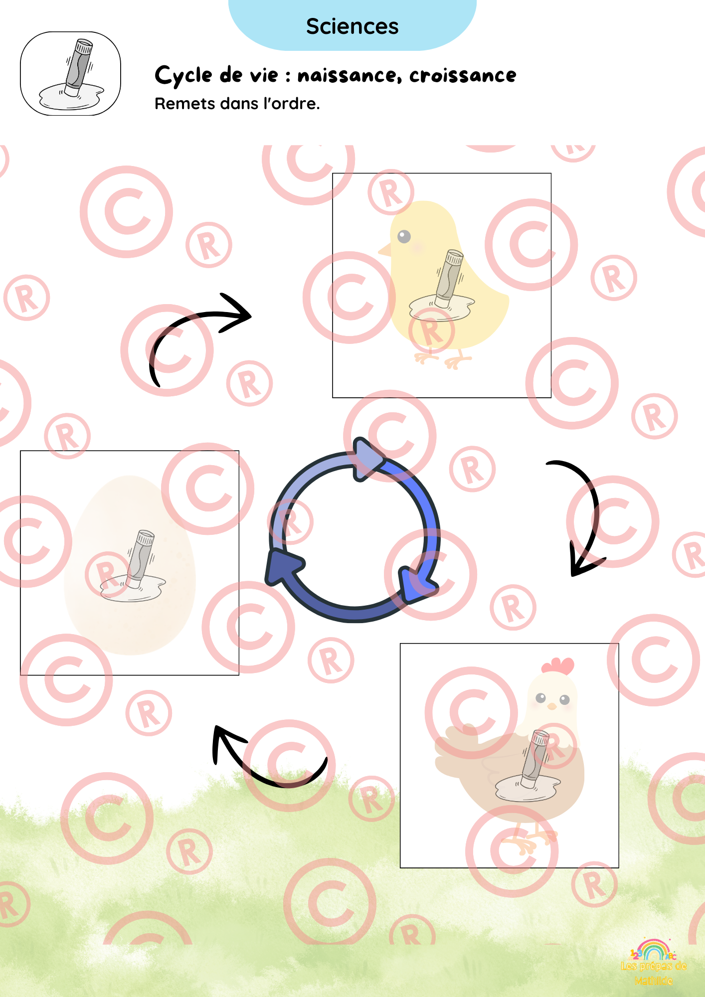 🐰 Cahiers autonomes – Pâques & Printemps | ACC · M1 · M2 · M3