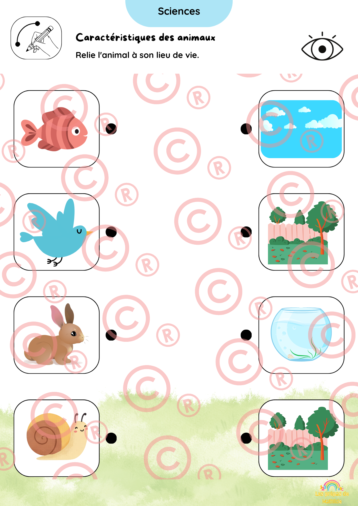 🐰 Cahiers autonomes – Pâques & Printemps | ACC · M1 · M2 · M3