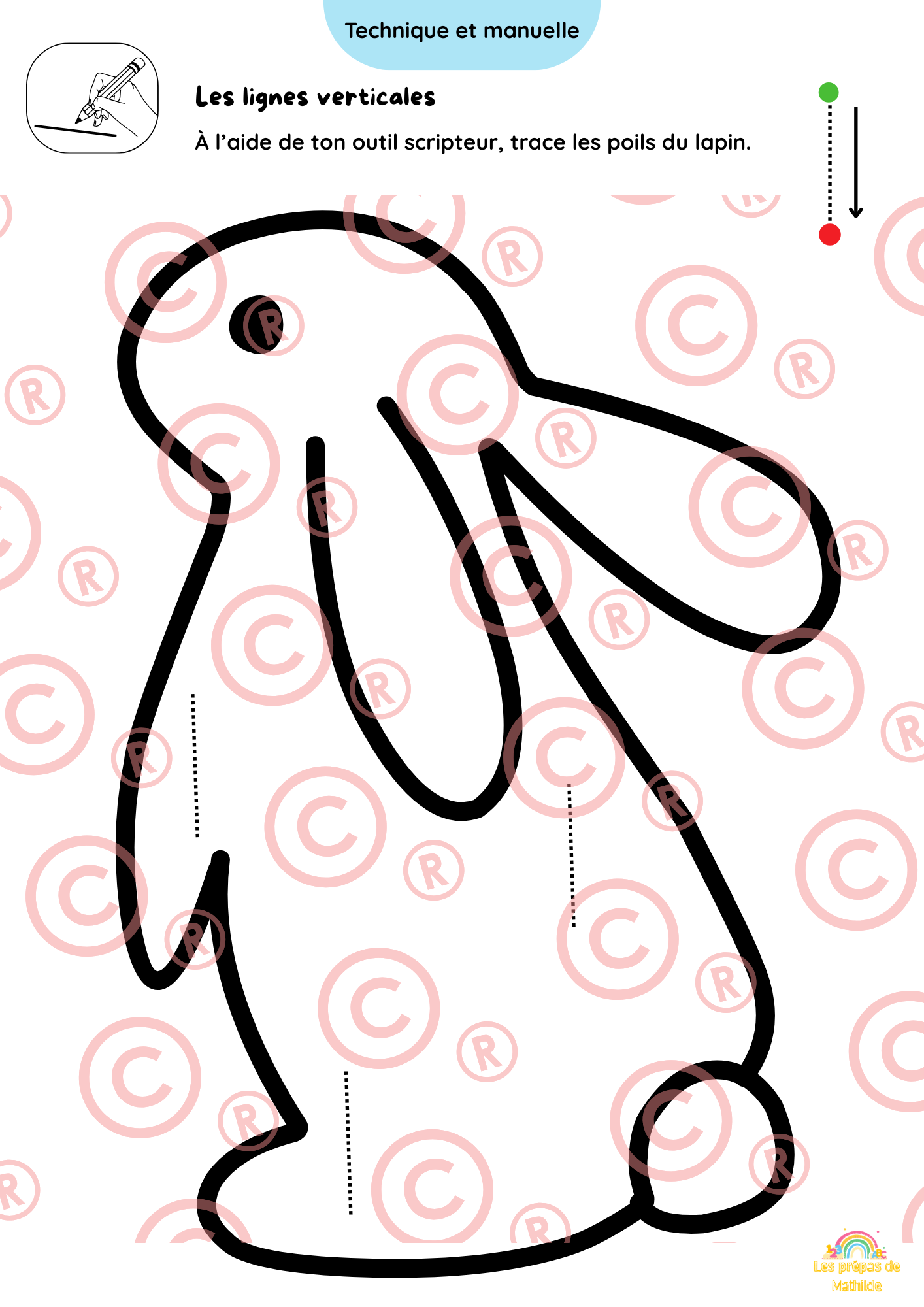 🐰 Cahiers autonomes – Pâques & Printemps | ACC · M1 · M2 · M3