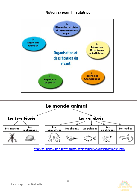 01 Pack malin : Pack Tout-en-Un en version WORD ou PDF !