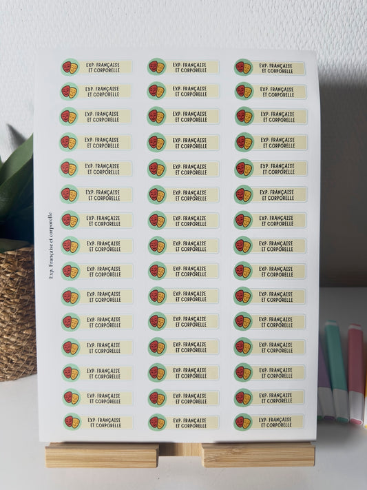 Planche de Stickers maternelle – EXPRESSION FRANÇAISE ET CORPORELLE (45 stickers)