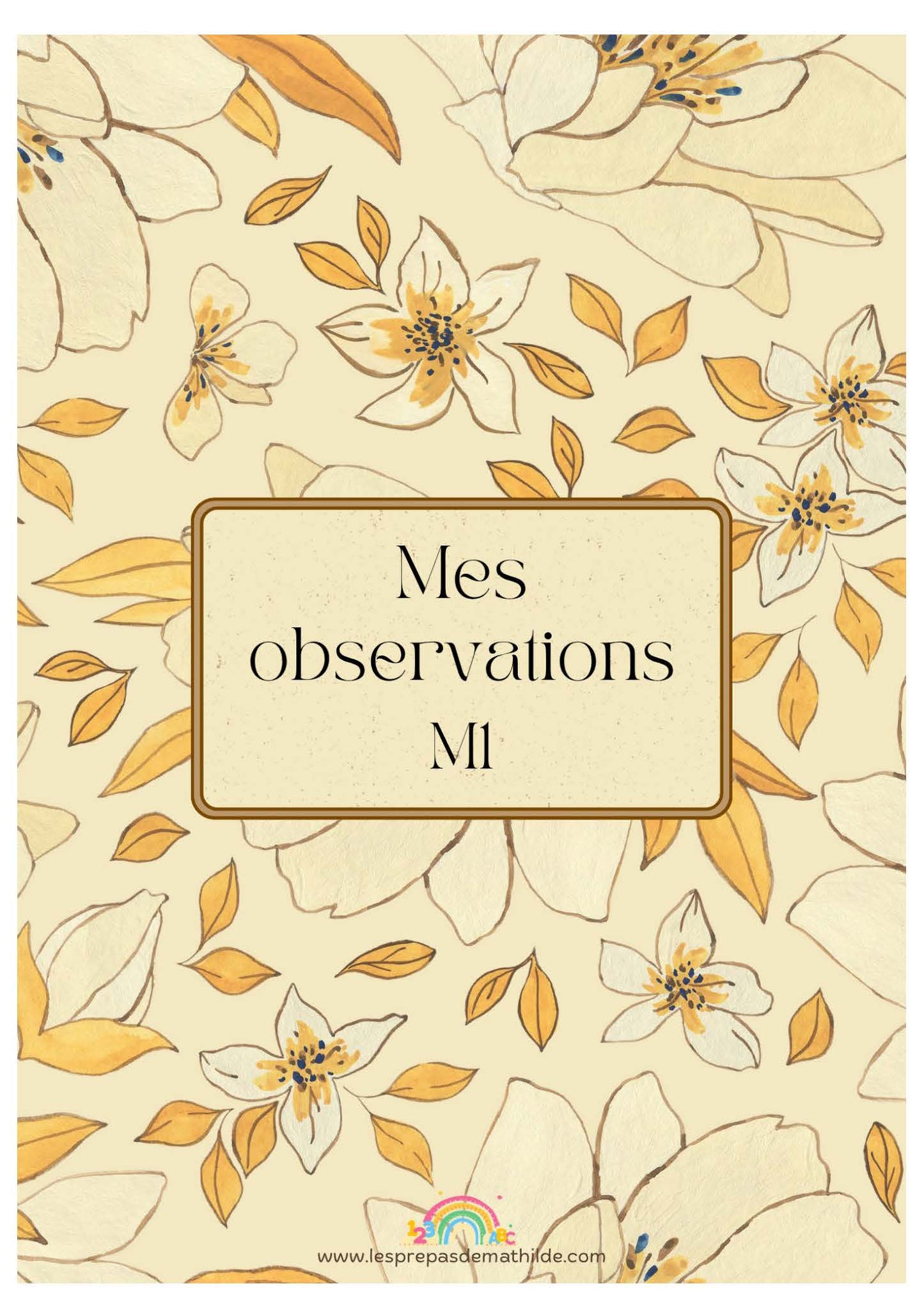 M1 : Les grilles d'observations