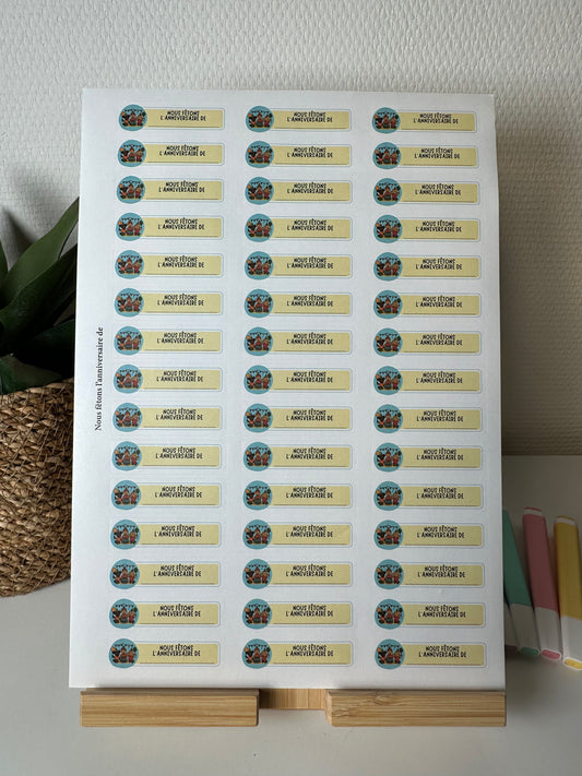 Planche de Stickers maternelle – NOUS FÊTONS L'ANNIVERSAIRE DE... (45 stickers)
