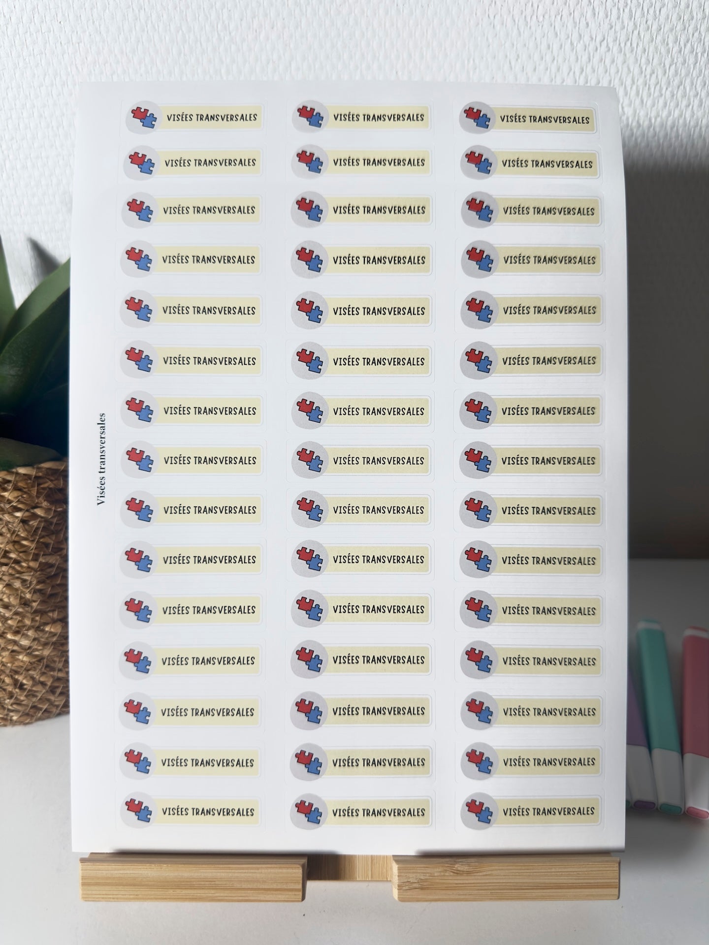 Planche de Stickers maternelle – VISÉES TRANSVERSALES (45 stickers)